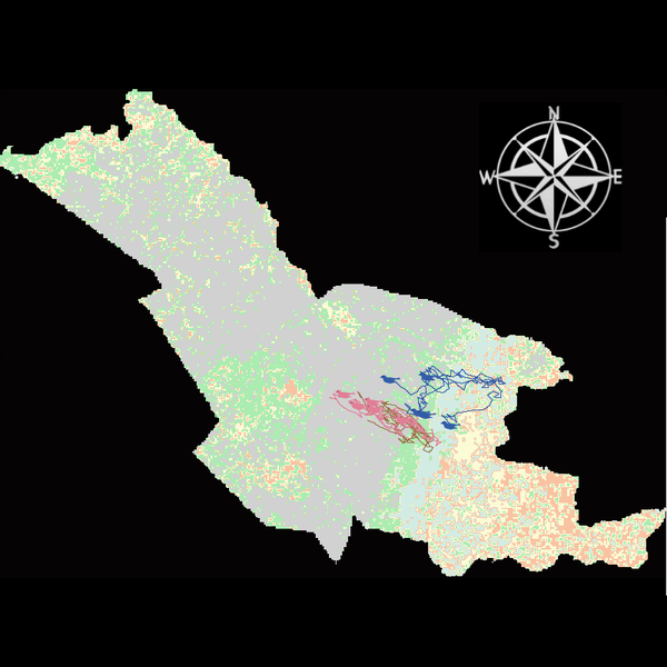MezaReverdAreasCA view Scenario 2 (2.2.2).png